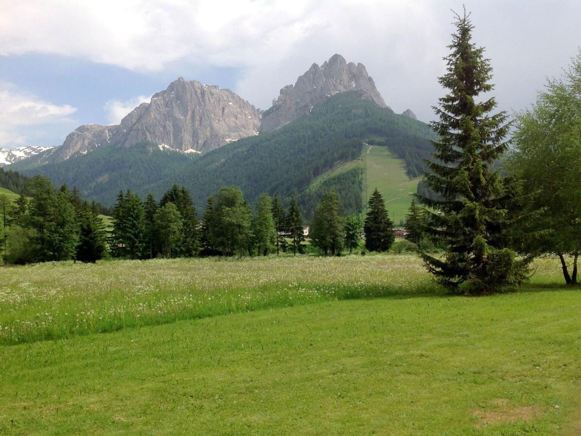Spacious Chalet With Garden Near Ski Area In Tyrol 포자 디 파사 외부 사진